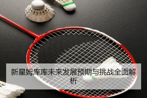 xin-xing-mu-ku-ku-wei-lai-fa-zhan-yu-qi-yu-tiao-zhan-quan-mian-jie-xi-2-952.jpg